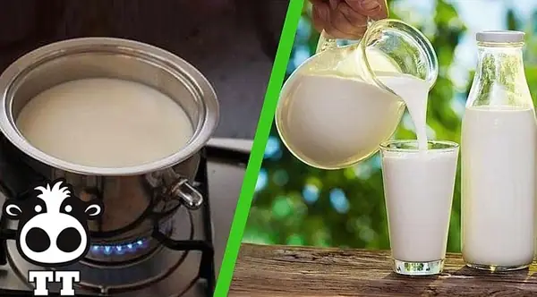 Cách Nấu Sữa Bò Tươi Tại Nhà An Toàn Và Dinh Dưỡng Cho Gia Đình
