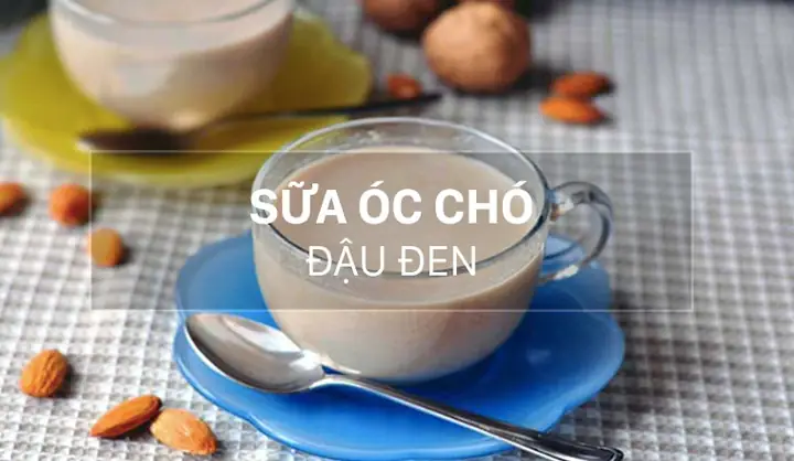 Cách Nấu Sữa Đậu Đen Óc Chó Thơm Ngon Bổ Dưỡng Cho Cả Gia Đình