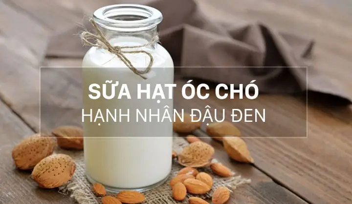 Cách Nấu Sữa Hạnh Nhân Óc Chó Đậu Đen Thơm Ngon Bổ Dưỡng Tại Nhà