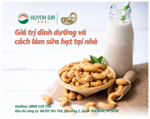 Cách Nấu Sữa Hạt Điều Béo Ngậy, Thơm Ngon Tại Nhà