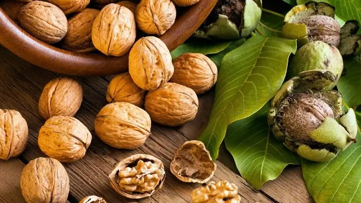 Cách Nấu Sữa Hạt Óc Chó Cho Bé Chuẩn Vị Thơm Ngon, Bổ Dưỡng