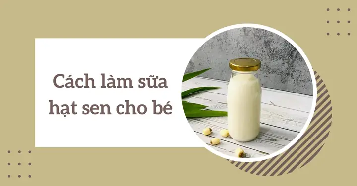 Cách Nấu Sữa Hạt Sen Cho Bé Thơm Ngon, Bổ Dưỡng, Dễ Thực Hiện Tại Nhà