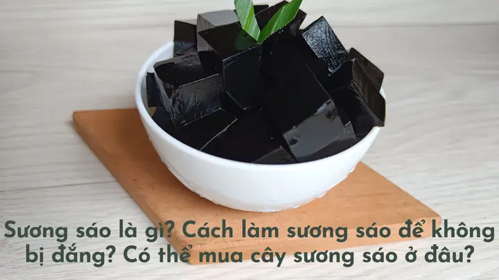 Cách Nấu Sương Sáo Không Bị Đắng Chuẩn Vị, Mát Lành Cho Ngày Hè