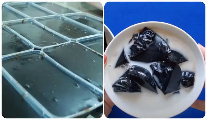 Cách Nấu Thạch Đen Từ Cây Thạch: Hướng Dẫn Chi Tiết Từ A Đến Z