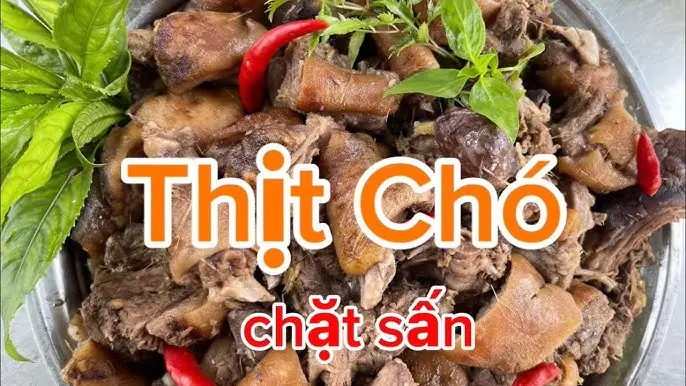 Cách Nấu Thịt Chó Chặt Sấn Ngon Chuẩn Vị, Không Bị Hôi