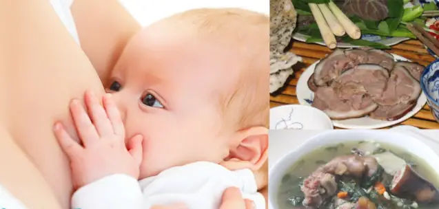 Cách Nấu Thịt Chó Cho Bà Đẻ: Hướng Dẫn Chi Tiết Và Những Lưu Ý Quan Trọng Về Dinh Dưỡng