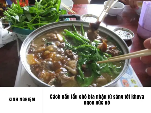 Cách Nấu Thịt Chó Hấp Bia Chuẩn Vị Ngon, Không Bị Hôi Cách Nấu Thịt Chó Hấp Bia Chuẩn Vị Ngon, Không Bị Hôi