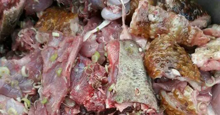 Cách Nấu Thịt Nhím Giả Cầy Thơm Ngon, Chuẩn Vị Đặc Sản Rừng