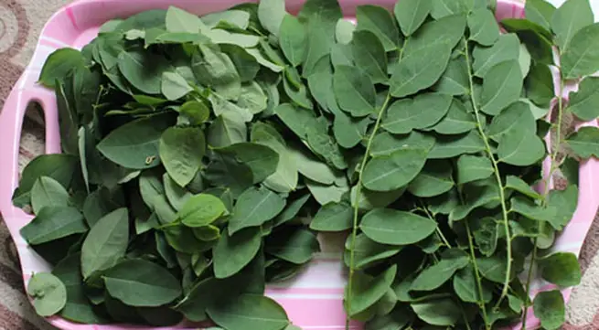 Cách Nấu Trái Vả Cho Bà Đẻ Bổ Dưỡng, Lợi Sữa Và An Toàn