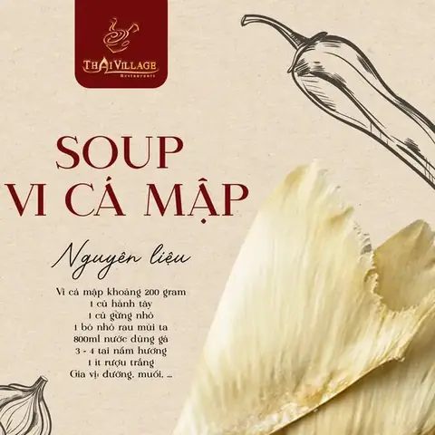 Cách Nấu Vi Cá Mập Ngon Chuẩn Vị, Bổ Dưỡng Cho Bữa Cơm Gia Đình