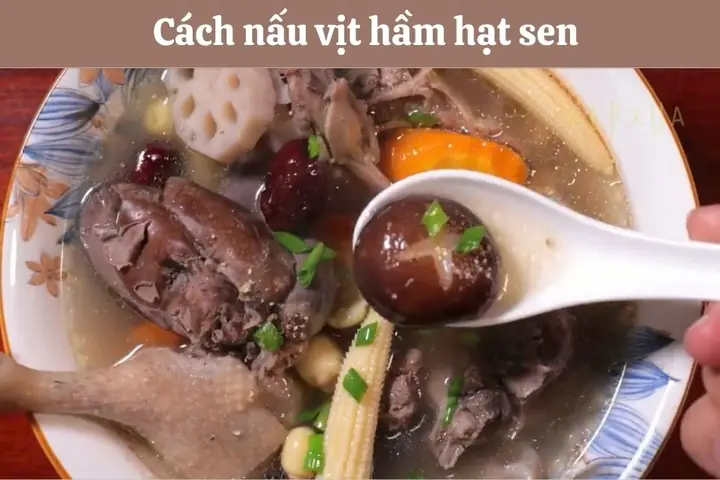 Cách Nấu Vịt Hầm Hạt Sen Thơm Ngon, Bổ Dưỡng, Không Bị Hôi Cách Nấu Vịt Hầm Hạt Sen Thơm Ngon, Bổ Dưỡng, Không Bị Hôi