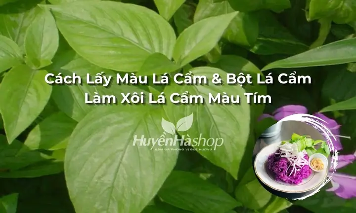 Cách Nấu Xôi Bằng Bột Lá Cẩm Thơm Ngon, Chuẩn Vị Tại Nhà