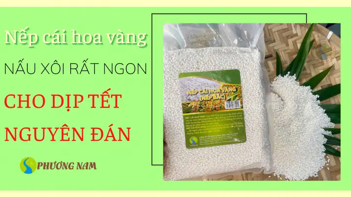 Cách Nấu Xôi Bằng Nếp Cái Hoa Vàng: Bí Quyết Từ Hạt Nếp Dẻo Thơm Chuẩn Vị