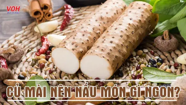 Cách Nấu Xôi Củ Mài Thơm Ngon, Dẻo Mịn Chuẩn Vị Tại Nhà