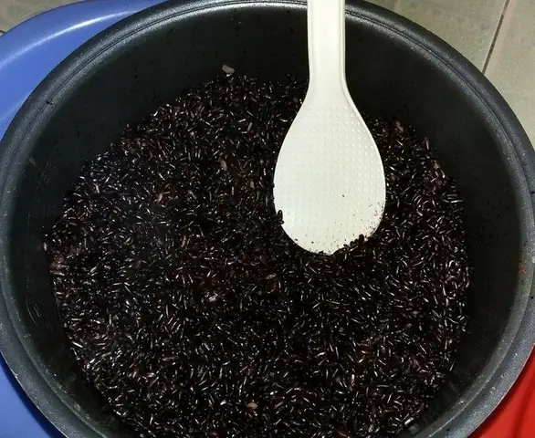 Cách Nấu Xôi Nếp Than Xuân Hồng Chuẩn Vị, Dẻo Thơm Ai Cũng Mê