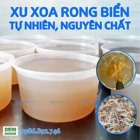 Cách Nấu Xú Xoa Lý Sơn: Bí Quyết Món Giải Nhiệt Đặc Trưng Xứ Đảo Cách Nấu Xú Xoa Lý Sơn: Bí Quyết Món Giải Nhiệt Đặc Trưng Xứ Đảo