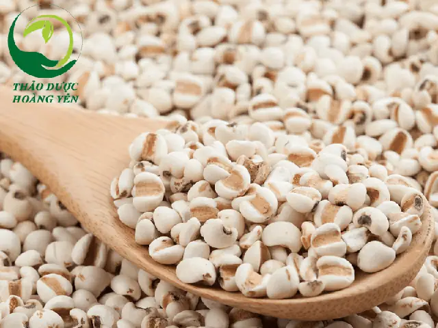 Cách Nấu Ý Dĩ Lợi Sữa Cho Mẹ Sau Sinh