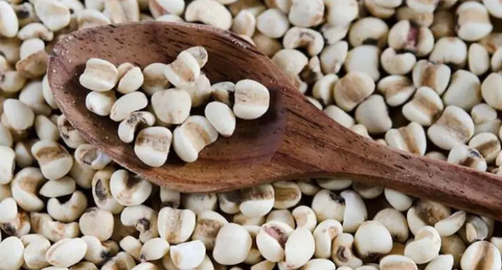 Cách Nấu Ý Dĩ Lợi Sữa Cho Mẹ Sau Sinh