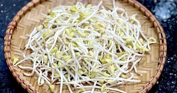 Cách Ngâm Giá Đỗ Đen Chuẩn Vị, Giòn Ngon Tại Nhà
