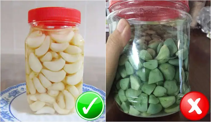 Cách Ngâm Giấm Tỏi Không Bị Xanh Và Giữ Được Chất Lượng Tốt Nhất