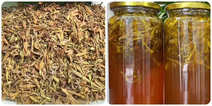 Cách Ngâm Hoa Đu Đủ Đực Chuẩn Vị Và An Toàn Cho Sức Khỏe
