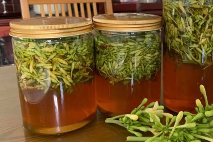 Cách Ngâm Hoa Đu Đủ Đực Tươi Với Mật Ong: Hướng Dẫn Chi Tiết Và Những Lưu Ý Quan Trọng