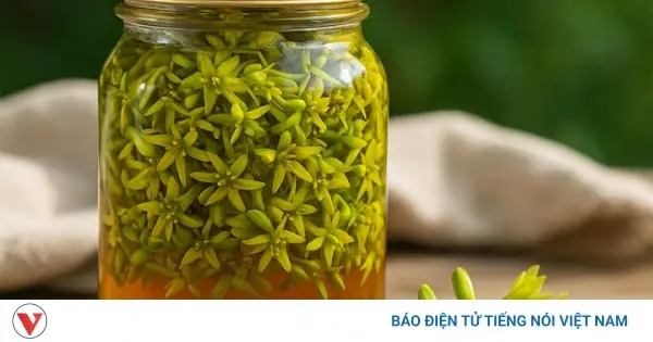 Cách Ngâm Hoa Đu Đủ Đực Với Mật Ong: Hướng Dẫn Chi Tiết Và Những Lợi Ích Bất Ngờ