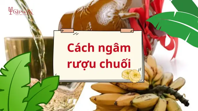 Cách Ngâm Rượu Chuối Sứ Chuẩn Vị Và An Toàn Cho Sức Khỏe