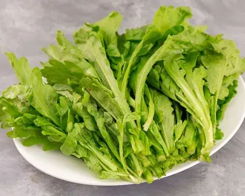 Hướng Dẫn Chi Tiết Cách Nhặt Rau Cải Cúc Ngon, Sạch, Giữ Lược Dinh Dưỡng Tối Đa