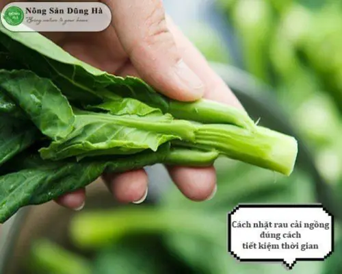 Cách Nhặt Rau Cải Ngồng Đúng Chuẩn, Giữ Nguyên Dinh Dưỡng Cách Nhặt Rau Cải Ngồng Đúng Chuẩn, Giữ Nguyên Dinh Dưỡng