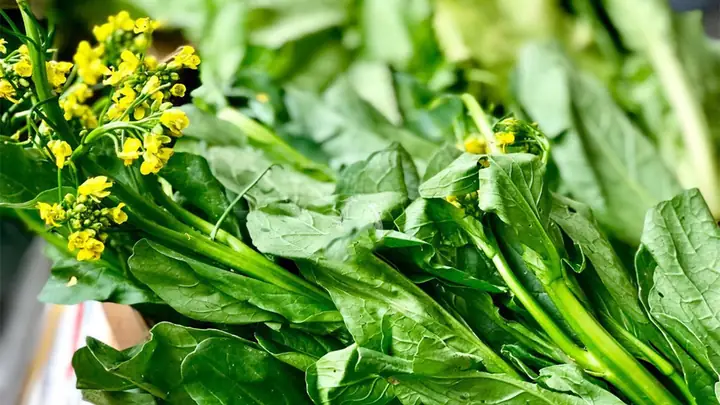 Cách Nhặt Rau Cải Ngồng Đúng Chuẩn, Giữ Nguyên Dinh Dưỡng Cách Nhặt Rau Cải Ngồng Đúng Chuẩn, Giữ Nguyên Dinh Dưỡng