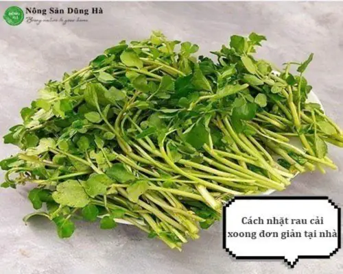 Cách Nhặt Rau Cải Xoong Chuẩn Chỉnh, Nhanh Chóng Cho Bữa Cơm Gia Đình