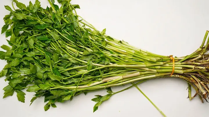 Cách Nhặt Rau Cần Tây Đúng Chuẩn, Sạch Và Giữ Nguyên Dưỡng Chất