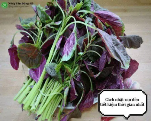 Cách Nhặt Rau Dền Nấu Canh: Hướng Dẫn Chi Tiết Từ A-z Cho Món Canh Thanh Mát