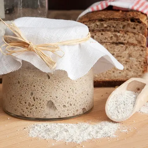 Cách Nuôi Men Bánh Mì: Hướng Dẫn Chi Tiết Từ A-z Cho Người Mới Bắt Đầu