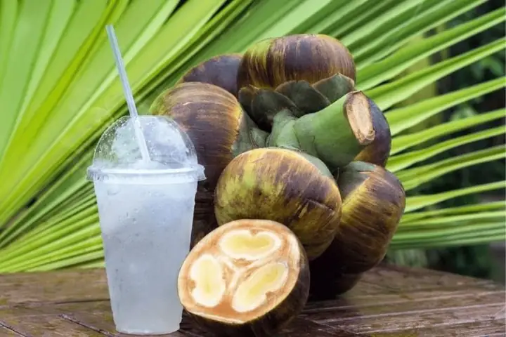 Cách Pha Chế Nước Thốt Nốt Thơm Ngon, Bổ Dưỡng Ngay Tại Nhà