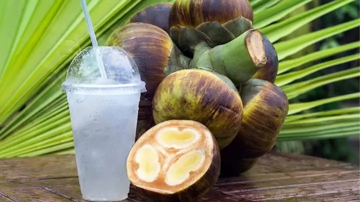 Cách Pha Chế Nước Thốt Nốt Thơm Ngon, Bổ Dưỡng Ngay Tại Nhà Cách Pha Chế Nước Thốt Nốt Thơm Ngon, Bổ Dưỡng Ngay Tại Nhà