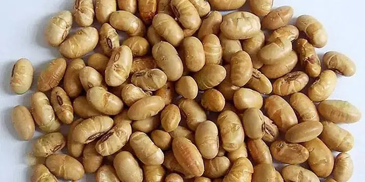Cách Rang Đậu Nành Nấu Nước Uống Đúng Chuẩn Và Bổ Dưỡng
