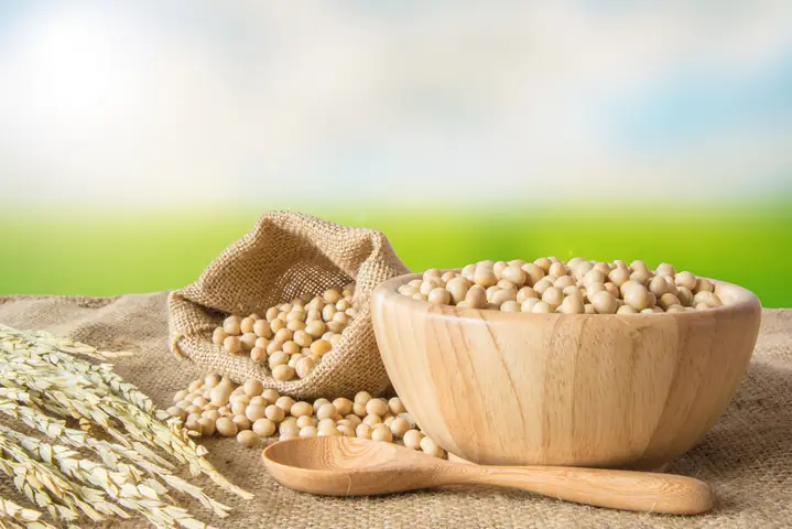 Cách Rang Đậu Nành Nấu Nước Uống Đúng Chuẩn Và Bổ Dưỡng