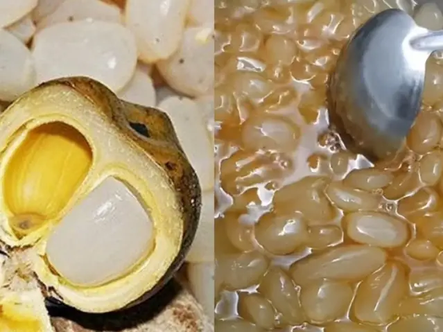 Cách Rim Hạt Đác Không Bị Cứng: Bí Quyết Giữ Nguyên Độ Dẻo Thơm Ngon
