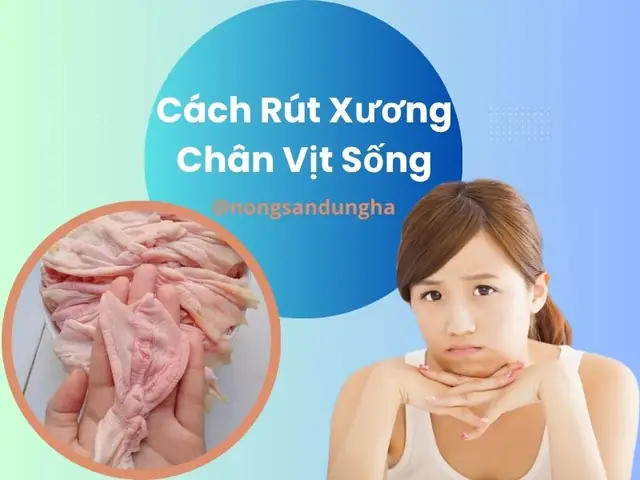 Cách Rút Xương Chân Vịt: Hướng Dẫn Chi Tiết Từ A-z Cho Người Mới Bắt Đầu Cách Rút Xương Chân Vịt: Hướng Dẫn Chi Tiết Từ A-z Cho Người Mới Bắt Đầu