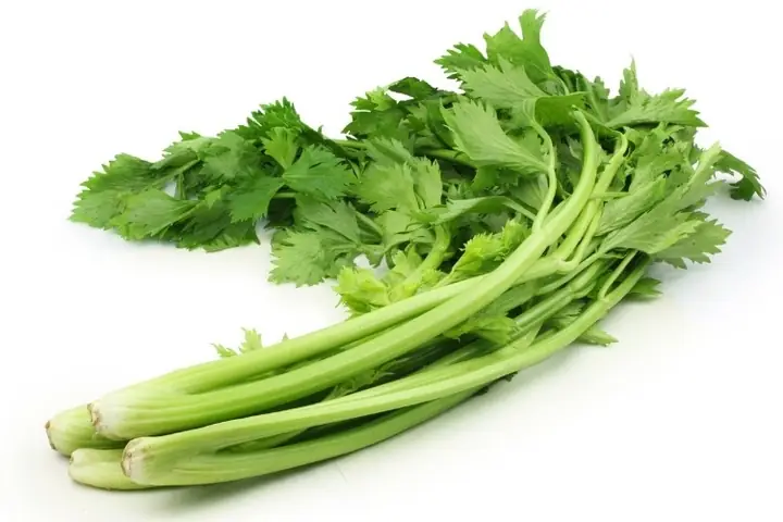 Các Cách Sơ Chế Cần Tây Đúng Chuẩn, Giữ Trọn Dinh Dưỡng