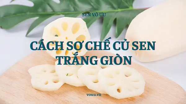Cách Sơ Chế Củ Sen Đúng Chuẩn, Giữ Nguyên Dinh Dưỡng Và Độ Giòn Ngon