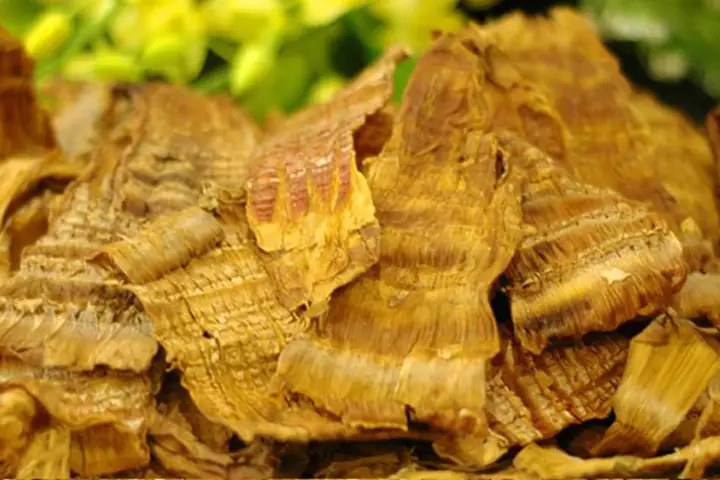 Cách Sơ Chế Măng Khô Đúng Chuẩn, An Toàn Và Giữ Nguyên Hương Vị Cách Sơ Chế Măng Khô Đúng Chuẩn, An Toàn Và Giữ Nguyên Hương Vị