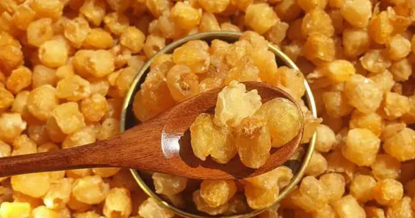 Cách Sử Dụng Long Nhãn Chi Tiết Từ A-z Cho Người Mới Bắt Đầu Cách Sử Dụng Long Nhãn Chi Tiết Từ A-z Cho Người Mới Bắt Đầu