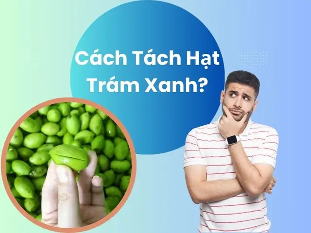 Cách Tách Hạt Trám Xanh Chuẩn Xác, An Toàn Và Hiệu Quả Nhất Cách Tách Hạt Trám Xanh Chuẩn Xác, An Toàn Và Hiệu Quả Nhất
