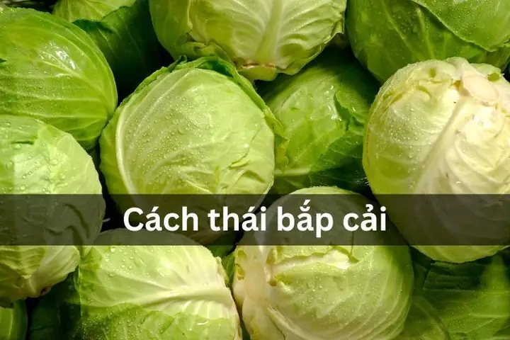 Các Cách Thái Bắp Cải Nấu Canh Ngon Chuẩn Vị