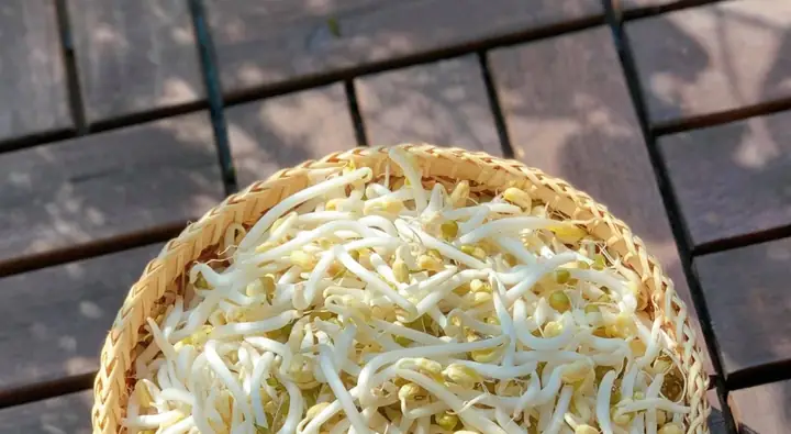 Cách Ủ Giá Bằng Khăn