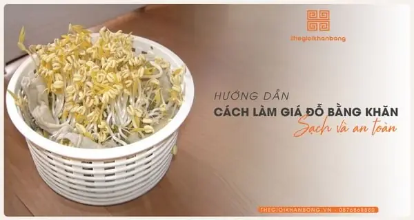 Cách Ủ Giá Bằng Khăn