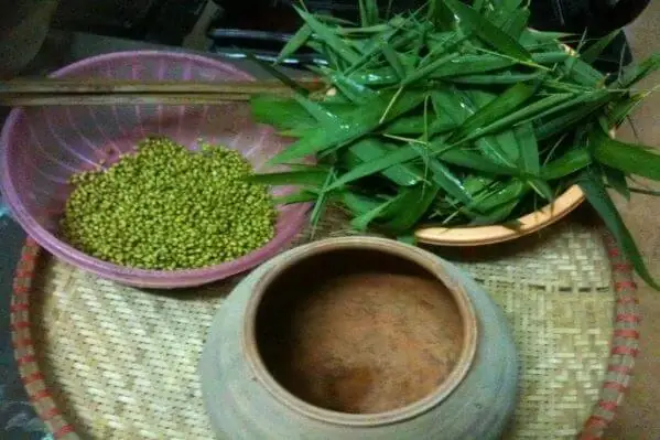 Cách Ủ Giá Đỗ Bằng Lá Tre: Hướng Dẫn Chi Tiết Từ A-z